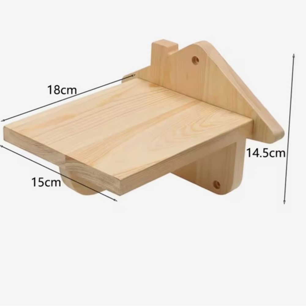 New cat step, wall shelf